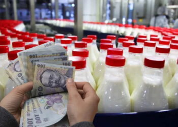 România are cel mai scump lapte din Europa, în timp ce producţia locală scade iar importurile explodează. Motivul: subvenţii mici, costuri de producţie excesiv de mari