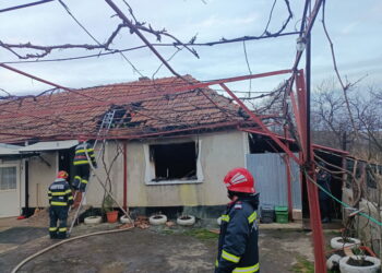 O mamă a ars alături de fiul ei într-un incendiu devastator. Au încercat să se salveze