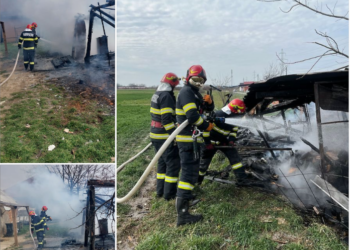 S-au jucat cu focul. A ars și un câine în incendiul provocat de copiii nesupravegheați din Țețchea