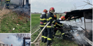S-au jucat cu focul. A ars și un câine în incendiul provocat de copiii nesupravegheați din Țețchea