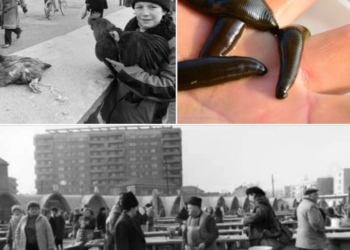 Comerț cu lipitori în Piața din Oradea.Un orădean reînvie o pagină din viața trăită de copiii anilor 80