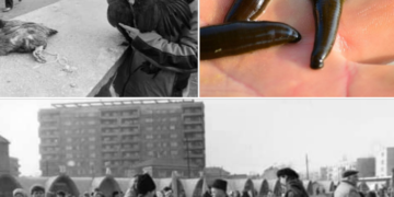 Comerț cu lipitori în Piața din Oradea.Un orădean reînvie o pagină din viața trăită de copiii anilor 80