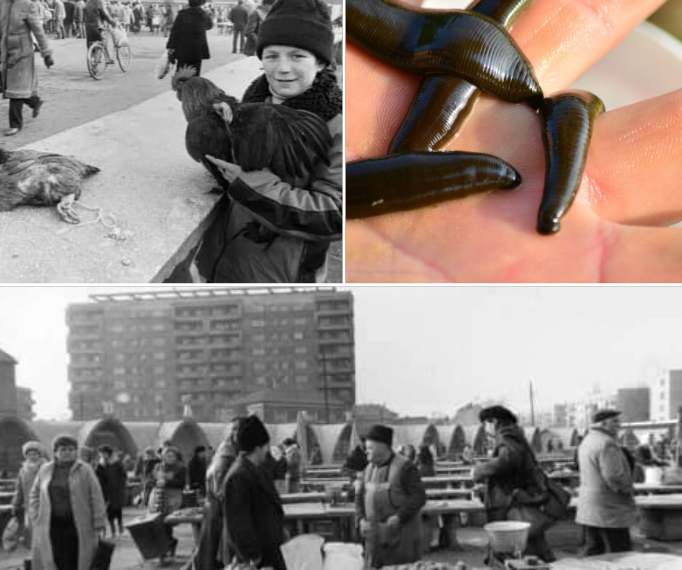 Comerț cu lipitori în Piața din Oradea.Un orădean reînvie o pagină din viața trăită de copiii anilor 80