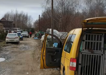 Un IT-ist de 27 de ani din Bihor, mort într-o pădure din Cluj, la 700 m de casă