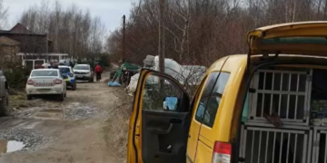 Un IT-ist de 27 de ani din Bihor, mort într-o pădure din Cluj, la 700 m de casă