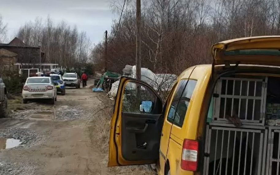 Un IT-ist de 27 de ani din Bihor, mort într-o pădure din Cluj, la 700 m de casă