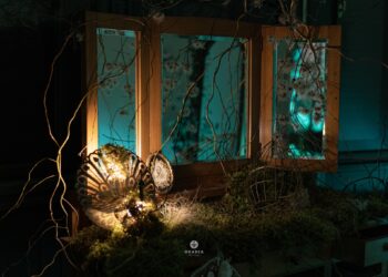 GALERIE. Artă imersivă, cadru instagramabil în atmosferă burgheză de secol XX