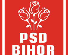 Cine mai conduce PSD Bihor. Au undă verde de la centru