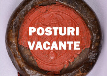 Primăria unde, după moartea primarului,  aproape toate posturile sunt vacante