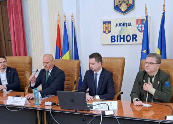 Se dau bani pentru împăduriri: bihorenii pot primi câte 500 de euro pentru fiecare hectar de teren forestier plantat cu puiet de arboret