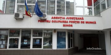 Rata șomajului în Bihor, constantă: 1,25% 