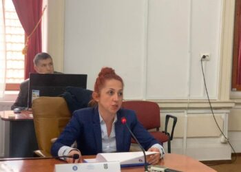 14 ONG-uri au primit bani pentru servicii sociale în Bihor