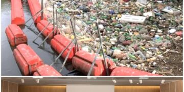 650.000 euro pentru sisteme moderne de colectare a deșeurilor de pe râurile: Barcău, Crișul Repede și Crișul Negru