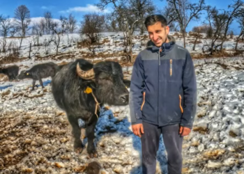 GALERIE. S-a întors din străinătate pentru a-și face o fermă cu animale pe cale de dispariție. Le crește în sistem liber printre animalele sălbatice