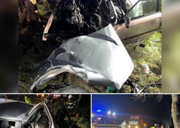 Un tânăr de 27 de ani din Zece Hotare, mort după ce a intrat cu mașina într-un copac