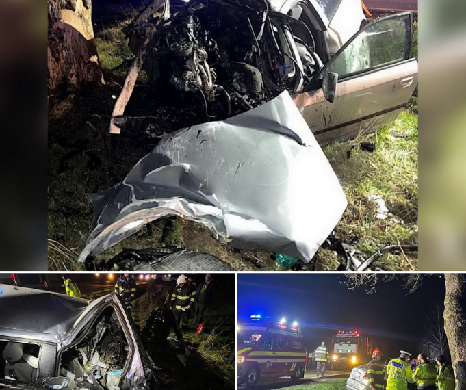 Un tânăr de 27 de ani din Zece Hotare, mort după ce a intrat cu mașina într-un copac