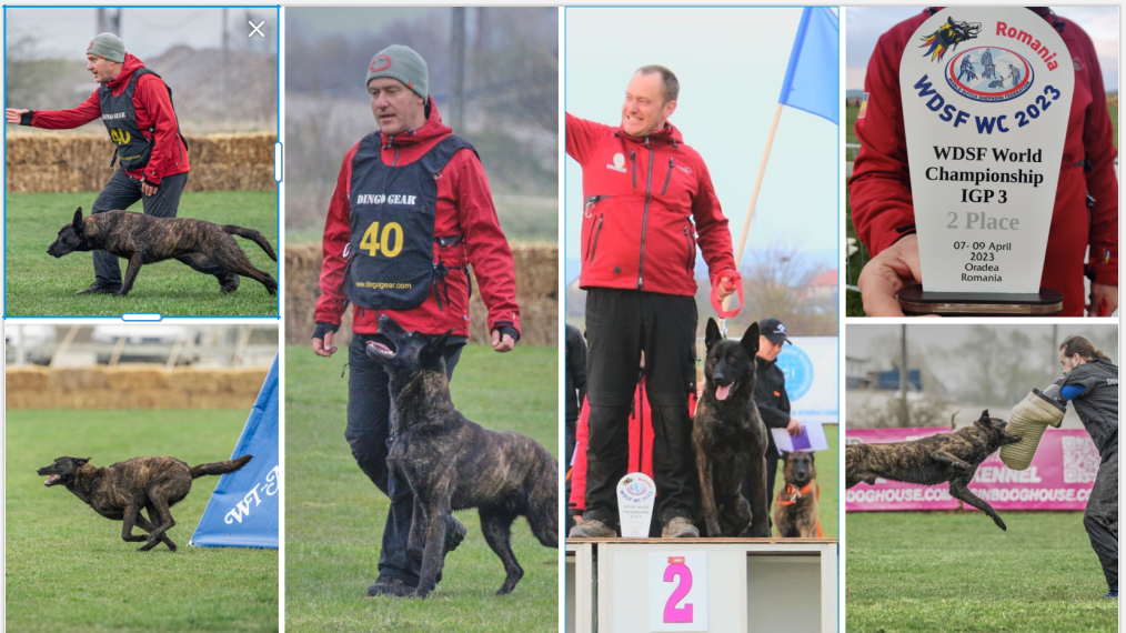 Un medic stomatolog și câinele său Alfa, vicecampioni mondiali la Mondialele de la Ineu