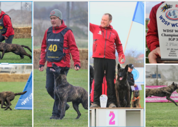 Un medic stomatolog și câinele său Alfa, vicecampioni mondiali la Mondialele de la Ineu