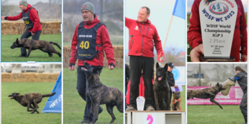 Un medic stomatolog și câinele său Alfa, vicecampioni mondiali la Mondialele de la Ineu