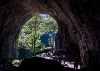 Pădurea Craiului, destinația anului