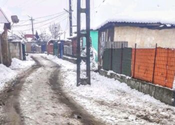 Femeia din Aleșd l-a înjunghiat pe fostul concubin fiindcă i-a făcut o propunere indecentă