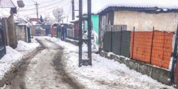 Femeia din Aleșd l-a înjunghiat pe fostul concubin fiindcă i-a făcut o propunere indecentă