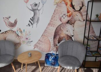 Cum arată o cameră de audiere a minorilor, recent amenajată de Rotary la Tribunal