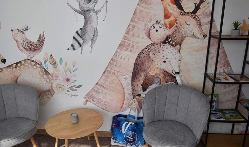 Cum arată o cameră de audiere a minorilor, recent amenajată de Rotary la Tribunal