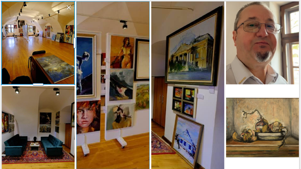 GALERIE. Antreprenorul care face avere din cauciucuri și-a deschis galerie de artă în Cetate. Cum a ajuns un tablou cu cepe vedeta galeriei. Costă 55.000 euro