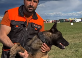 VIDEO. Celebrul Tudy, Tudor Tim Ionescu, fost viceprimar de București, la Campionatul Mondial al Ciobăneștilor Belgieni de la Ineu