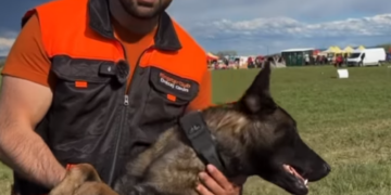 VIDEO. Celebrul Tudy, Tudor Tim Ionescu, fost viceprimar de București, la Campionatul Mondial al Ciobăneștilor Belgieni de la Ineu