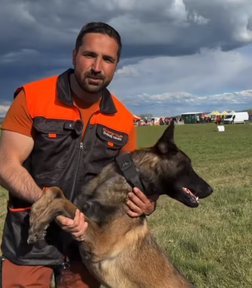 VIDEO. Celebrul Tudy, Tudor Tim Ionescu, fost viceprimar de București, la Campionatul Mondial al Ciobăneștilor Belgieni de la Ineu