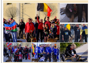 GALERIE. Vedetele din lumea chinologică au ocupat Piața Unirii. Kings Land Ineu, gazda primului Campionat Mondial din România