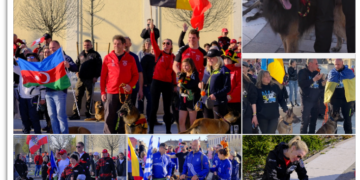 GALERIE. Vedetele din lumea chinologică au ocupat Piața Unirii. Kings Land Ineu, gazda primului Campionat Mondial din România