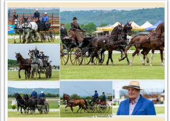 GALERIE. Formula 1 de Bihor. Cea mai spectaculoasă probă a celui mai mare concurs de atelaje