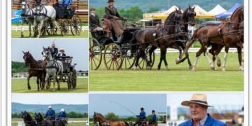 GALERIE. Formula 1 de Bihor. Cea mai spectaculoasă probă a celui mai mare concurs de atelaje
