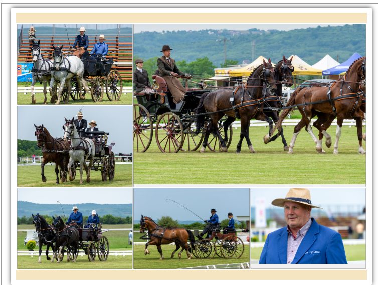 GALERIE. Formula 1 de Bihor. Cea mai spectaculoasă probă a celui mai mare concurs de atelaje