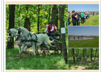 GALERIE. Își dispută calificarea la Europene și Mondiale