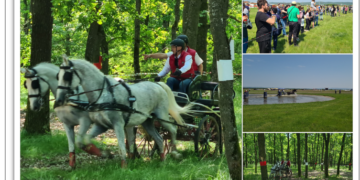 GALERIE. Își dispută calificarea la Europene și Mondiale