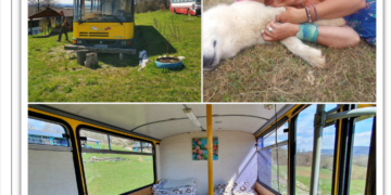 GALERIE. Casa din autobuz din raiul iubitorulor de natură. O pictoriță și un speolog au pus bazele unui camping inedit