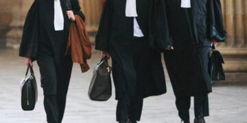 Avocat, condamnat la 7 luni cu suspendare după ce a tăbărât cu un cuțit pe un om bănuit că i-a furat cățelul