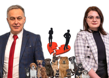 Premieră în jurisprudenţa naţională şi europeană privind animalele de companie, semnată de doi avocaţi orădeni / Cristian Rusu şi Claudia Romocea au dovedit, prin sentinţă judecătorească, faptul că un animal de companie este fiinţă şi nu un obiect