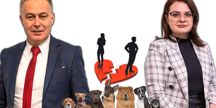 Premieră în jurisprudenţa naţională şi europeană privind animalele de companie, semnată de doi avocaţi orădeni / Cristian Rusu şi Claudia Romocea au dovedit, prin sentinţă judecătorească, faptul că un animal de companie este fiinţă şi nu un obiect