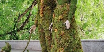 GALERIE.Siluete florale. Casa Darvas, decor inedit