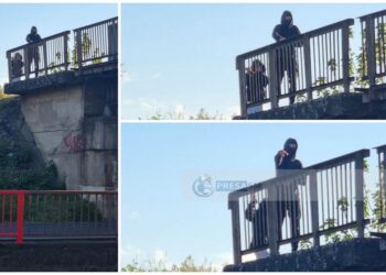 Huligani mascați care în plină zi distrug mașini pe un bulevard dintr-un municipiu din Vestul României