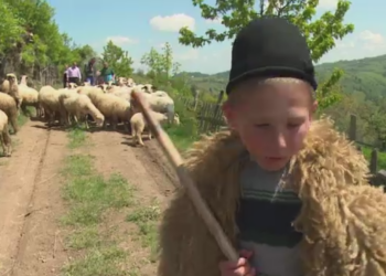 Copiii de la granița Bihorului care au intrat deja în vacanța de vară. Au o structură diferită a anului școlar ca să meargă în transhumanță