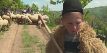 Copiii de la granița Bihorului care au intrat deja în vacanța de vară. Au o structură diferită a anului școlar ca să meargă în transhumanță