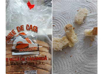 Ce surpriză a avut o orădeancă în momentul în care a vrut să mănânce o felie de pâine