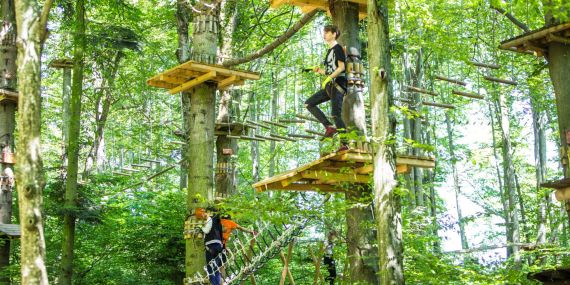 foto cu titlu ilustrativ