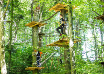 foto cu titlu ilustrativ